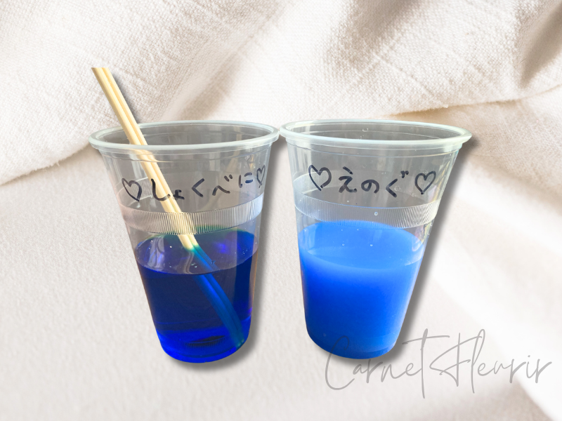 「プラコップに入った2種類の青い色水。左が食紅、右が絵の具で作った色水」
