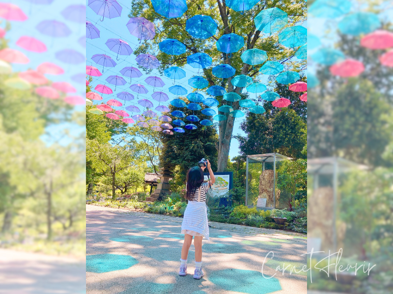 色とりどりの傘が空を彩るアンブレラスカイと、写真を撮る女の子の後ろ姿