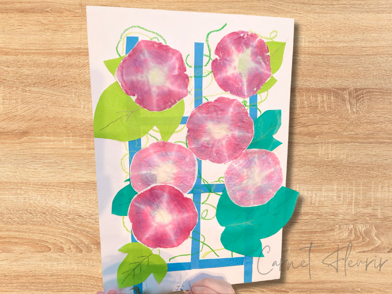 朝顔の花びらの写し絵で作った、ピンクの朝顔アート作品。子どもが名前を記入している様子