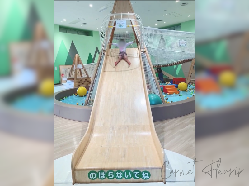 木製の大型すべり台で遊んでいる子どもの様子。後方にはネット遊具やカラーボールが見える。