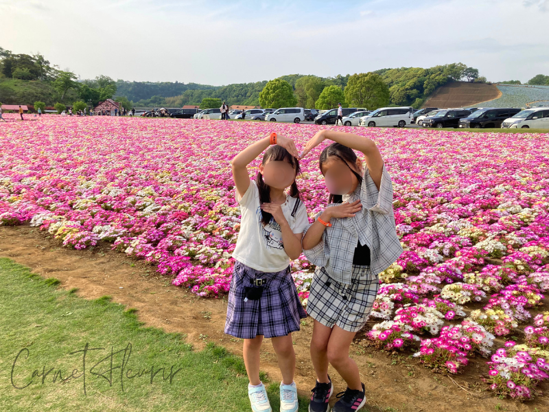 東京ドイツ村の花畑でポーズをとる子どもたち。広がるピンクの花と青空に囲まれて、春の風景が映える1枚。