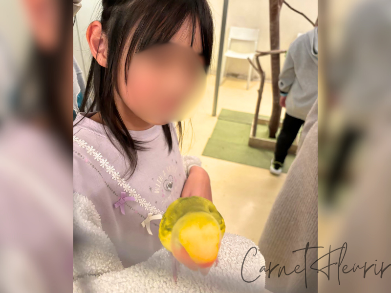 鮮やかな黄色いインコが子どもの腕にちょこんと乗っている様子。手乗りで癒される、やさしいふれあいの瞬間。