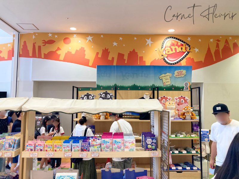 カッチンで買い物ができるカンドゥーショップ店内の様子