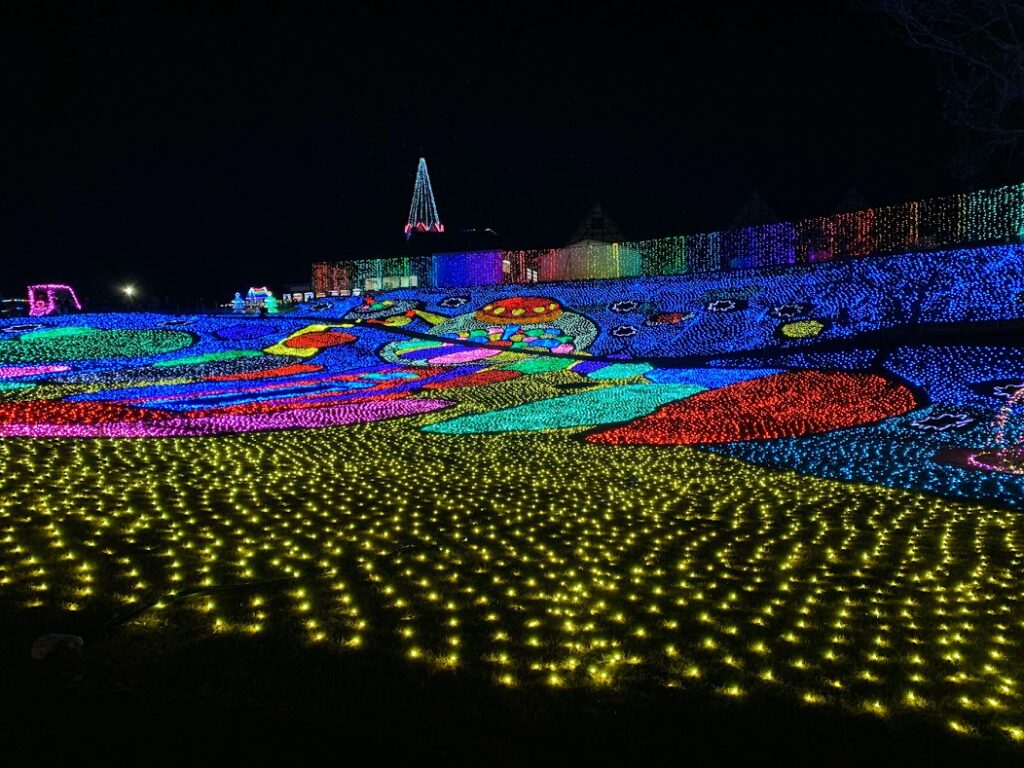 東京ドイツ村の地上絵イルミネーション｜夜の園内に広がるカラフルな光のアート