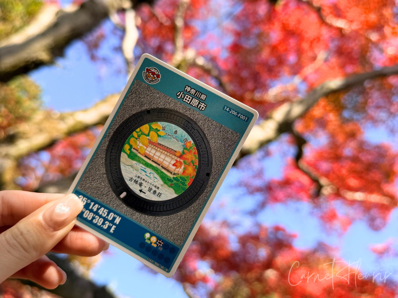 皆春荘で配られているマンホールカード