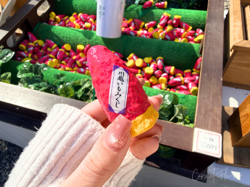 氷川神社の川越いもみくじを手にとる様子。