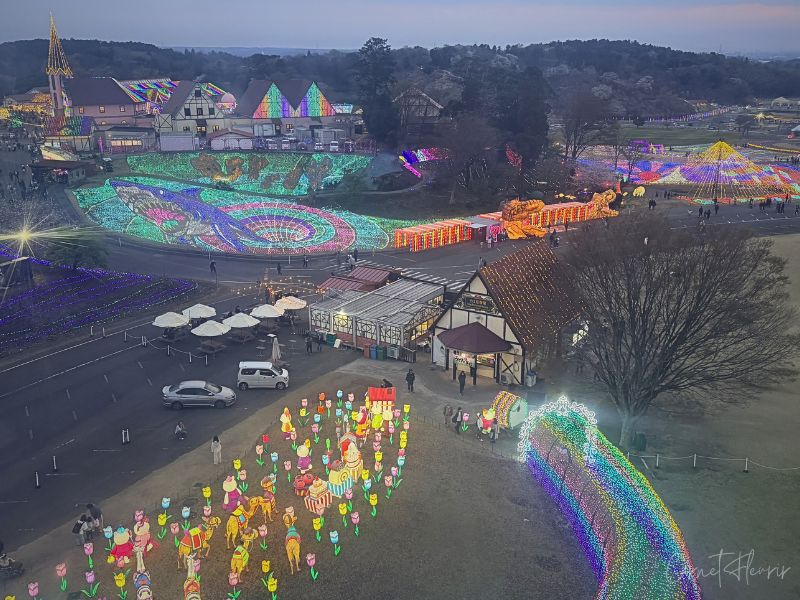 東京ドイツ村のイルミネーション。観覧車から見える景色。手前にチューリップと光のトンネルが見える。