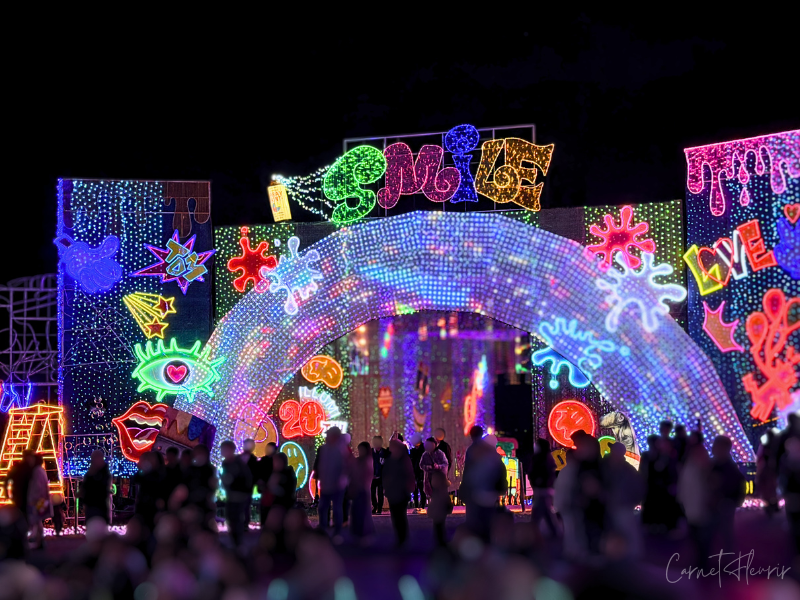 パフォーマンスなどが見られるマーケットエリアの様子。立ち見の方も多い。