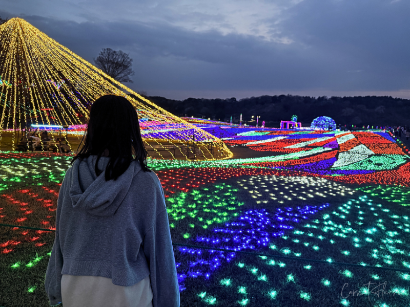 地上に広がるイルミネーションを眺める娘の様子。