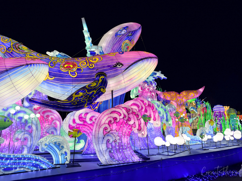 クジラやクラゲ、波のイルミネーションが並ぶ撮影スポット。