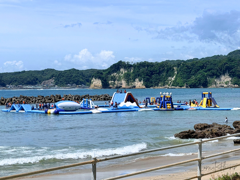 海岸からみた海上アスレチックの様子